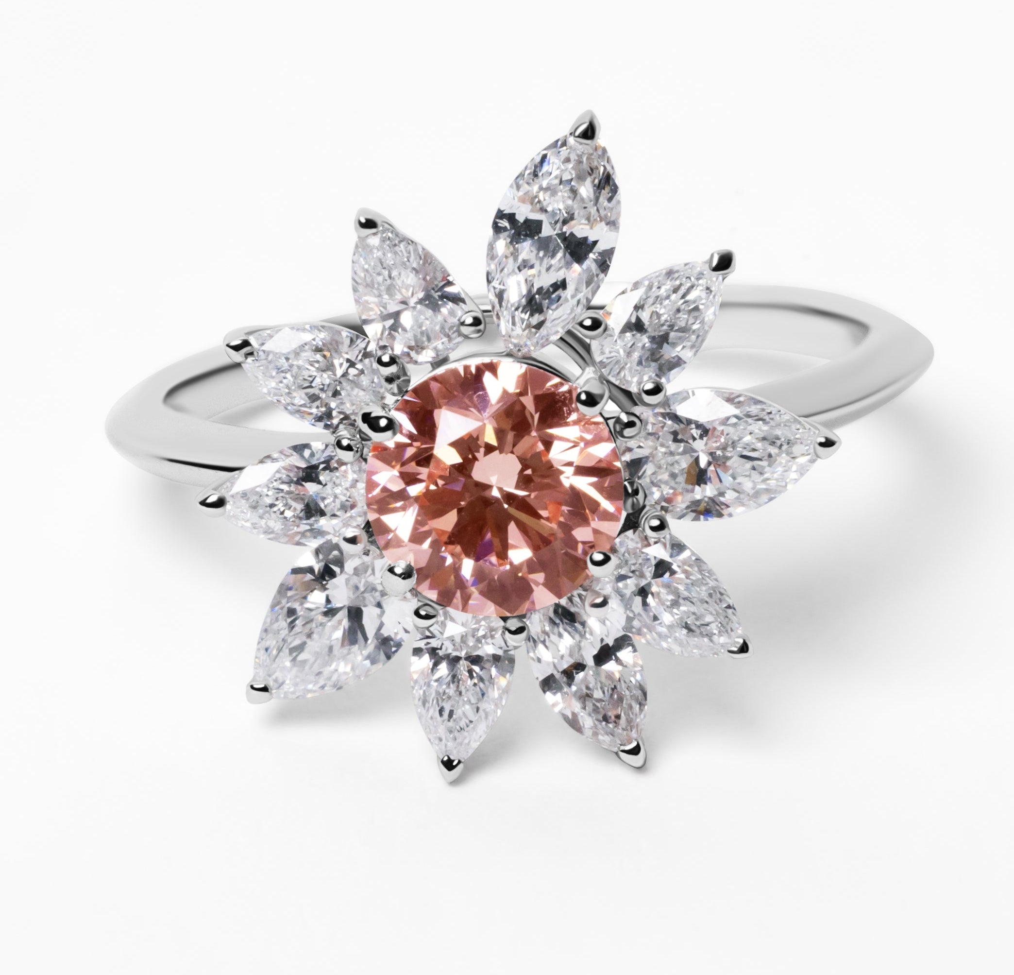 (Rose de) Montmartre -