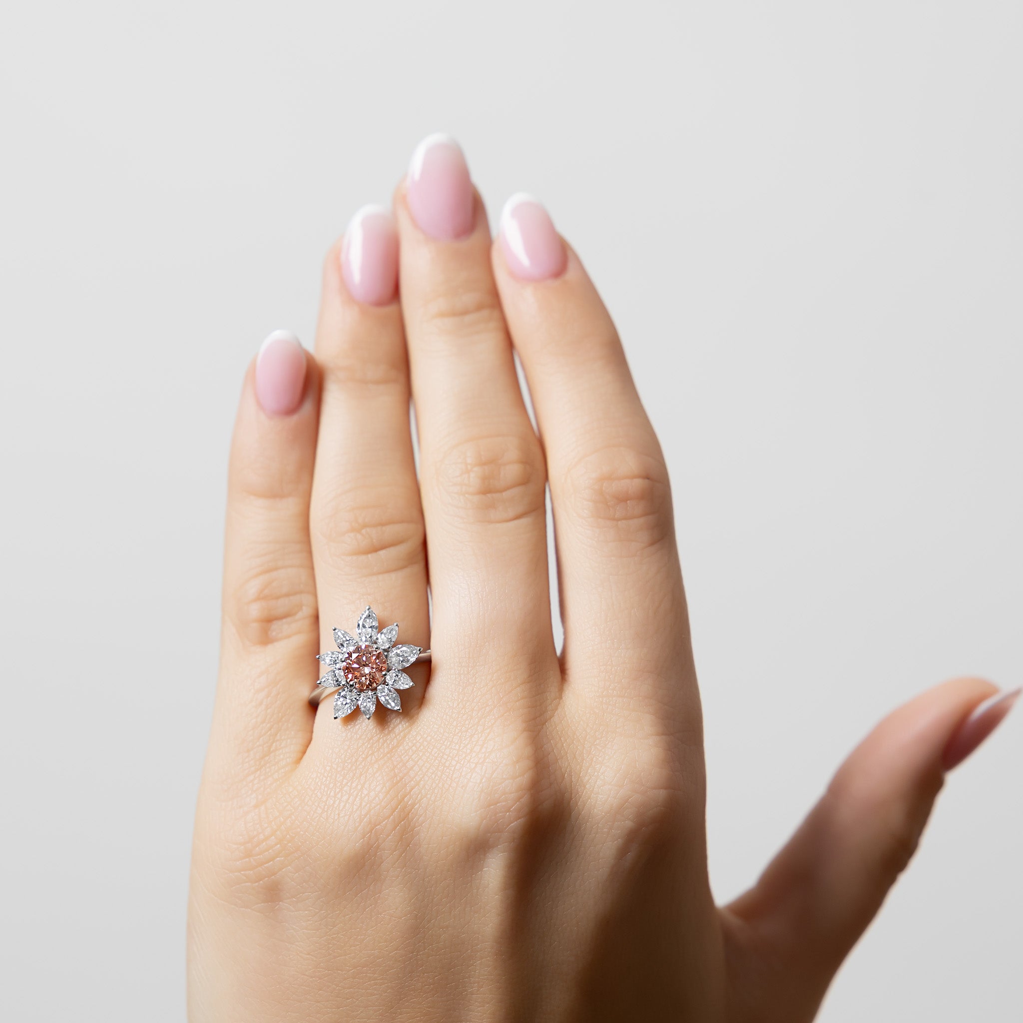 (Rose de) Montmartre -